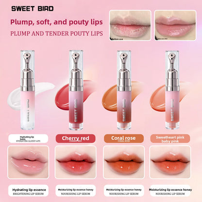Mirror Shine Lip Gloss